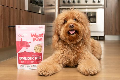 Show full view: West Paw Beef Rawbiotic Bites Digestive Health High Protein Dog Food Topper, 6.4-oz bag slide 4 of 11