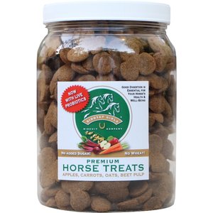 Giddyap Girls Biscuit Company Premium Apple Horse Treats, 2.25-lb jar