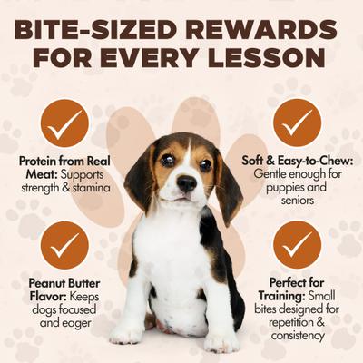 Show full view: Scoochie Pet Chewka Real Meat Peanut Butter Flavor Training Bites Dog Treats, 4.5-oz bag slide 7 of 7