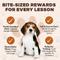 Show in main carousel: Scoochie Pet Chewka Real Meat Peanut Butter Flavor Training Bites Dog Treats, 10-oz bag slide 7 of 7