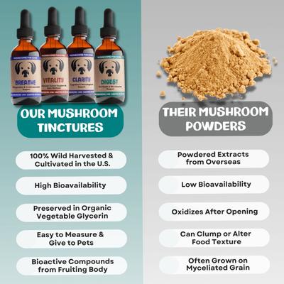 Show full view: MycoDog Vitality Mushroom Extract & Adaptogen Blend Immune Liquid Supplement for Dogs, 2-oz bottle slide 5 of 8