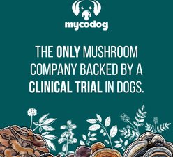 MycoDog Chaga Mushroom Extract Immune + Antioxidant Liquid Supplement Support for Dogs, 1-fl oz bottle slide 2 of 8