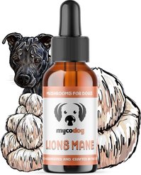 MycoDog Lion’s Mane Mushroom Extract Focus + Cognitive Liquid Supplement for Dogs, 1-fl oz bottle