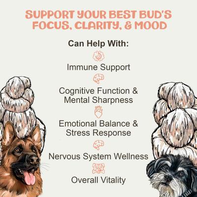 Show full view: MycoDog Lion’s Mane Mushroom Extract Focus + Cognitive Liquid Supplement for Dogs, 1-fl oz bottle slide 4 of 9
