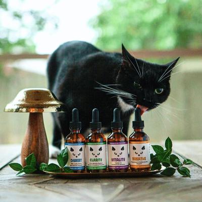 Show full view: MycoCat Digest Mushroom Extract & Adaptogen Blend Gut Health + Digestive Liquid Supplement for Cats, 2-oz bottle slide 6 of 6