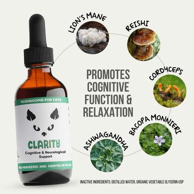 Show full view: MycoCat Clarity Mushroom Extract & Adaptogen Blend Calming + Cognitive Liquid Supplement for Cats, 2-oz bottle slide 3 of 6