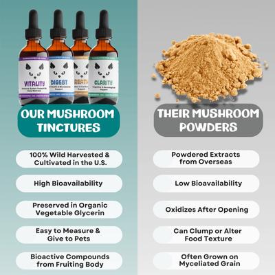 Show full view: MycoCat Digest Mushroom Extract & Adaptogen Blend Gut Health + Digestive Liquid Supplement for Cats, 2-oz bottle slide 4 of 6