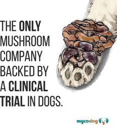 MycoDog Clarity Mushroom Extract & Adaptogen Blend Calming + Cognitive Liquid Supplement for Dogs, 2-oz bottle slide 2 of 9