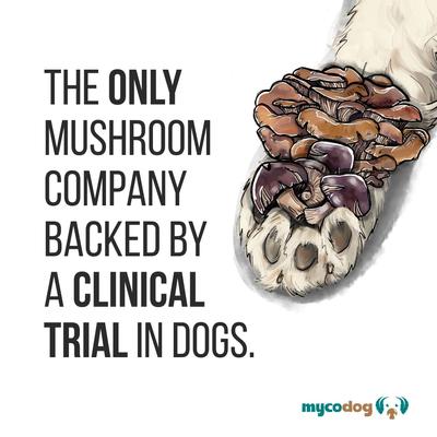 Show full view: MycoDog Breathe Mushroom Extract & Adaptogen Blend Respiratory + Cardiovascular Liquid Supplement for Dogs, 2-oz bottle slide 9 of 10