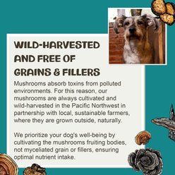 MycoDog Vitality Mushroom Extract & Adaptogen Blend Immune Liquid Supplement for Dogs, 2-oz bottle slide 2 of 7