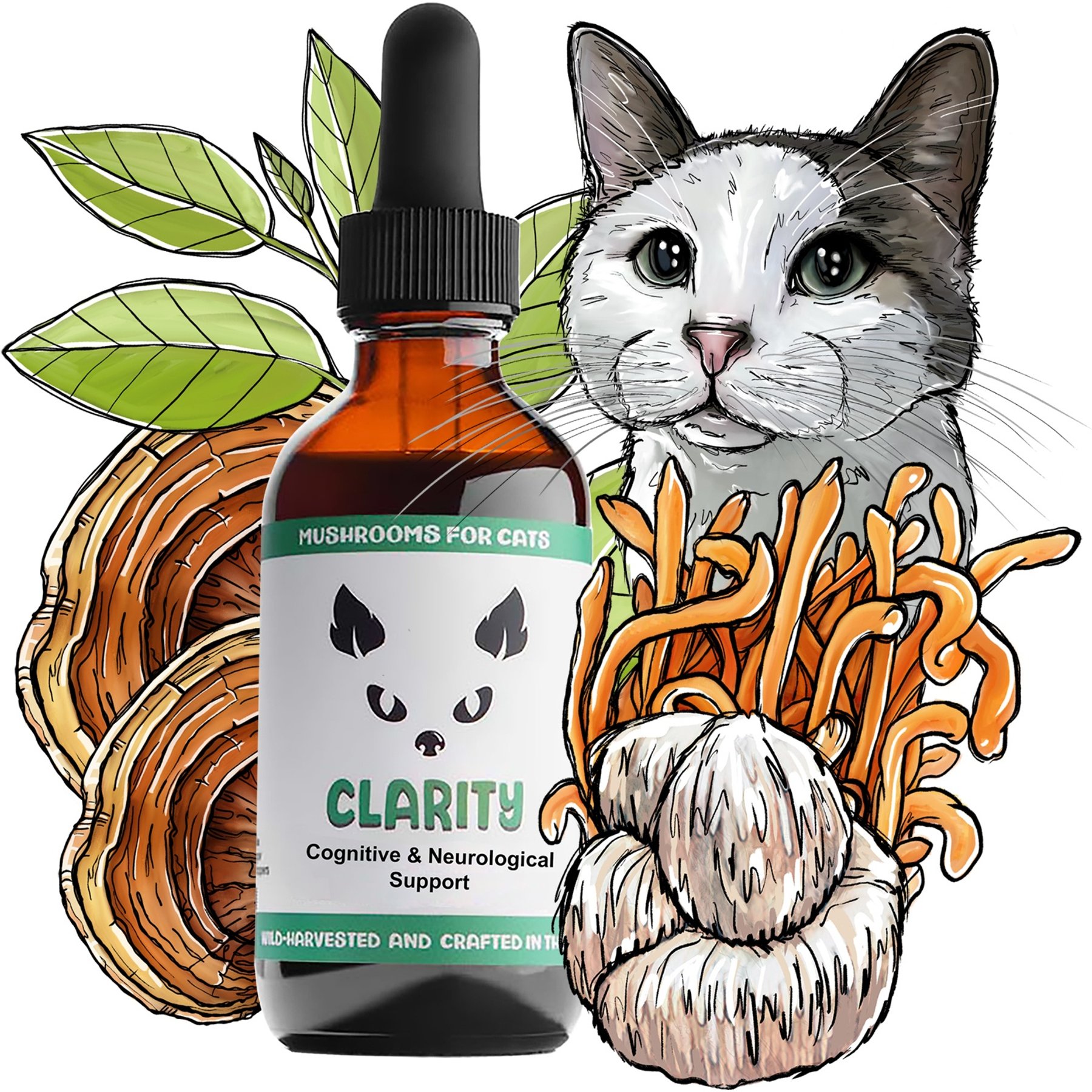 MycoCat Lion’s Mane & Mushroom Blend Cognitive Support Supplement for Cats, 2-fl oz bottle