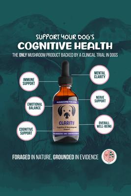 Show full view: MycoDog Clarity Mushroom Extract & Adaptogen Blend Calming + Cognitive Liquid Supplement for Dogs, 2-oz bottle slide 5 of 11