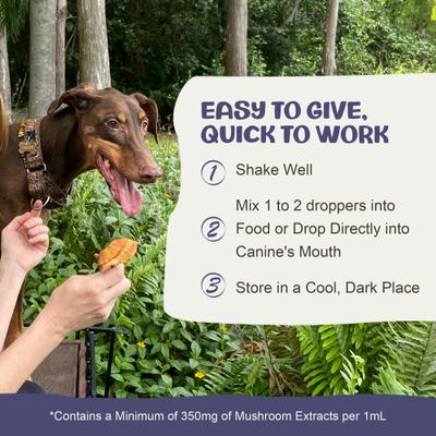 Show full view: MycoDog Clarity Mushroom Extract & Adaptogen Blend Calming + Cognitive Liquid Supplement for Dogs, 2-oz bottle slide 6 of 11