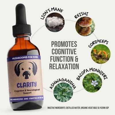 Show full view: MycoDog Clarity Mushroom Extract & Adaptogen Blend Calming + Cognitive Liquid Supplement for Dogs, 2-oz bottle slide 4 of 11