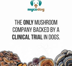 MycoDog Reishi Mushroom Extract Longevity + Calming Liquid Supplement for Dogs, 1-fl oz bottle slide 2 of 8