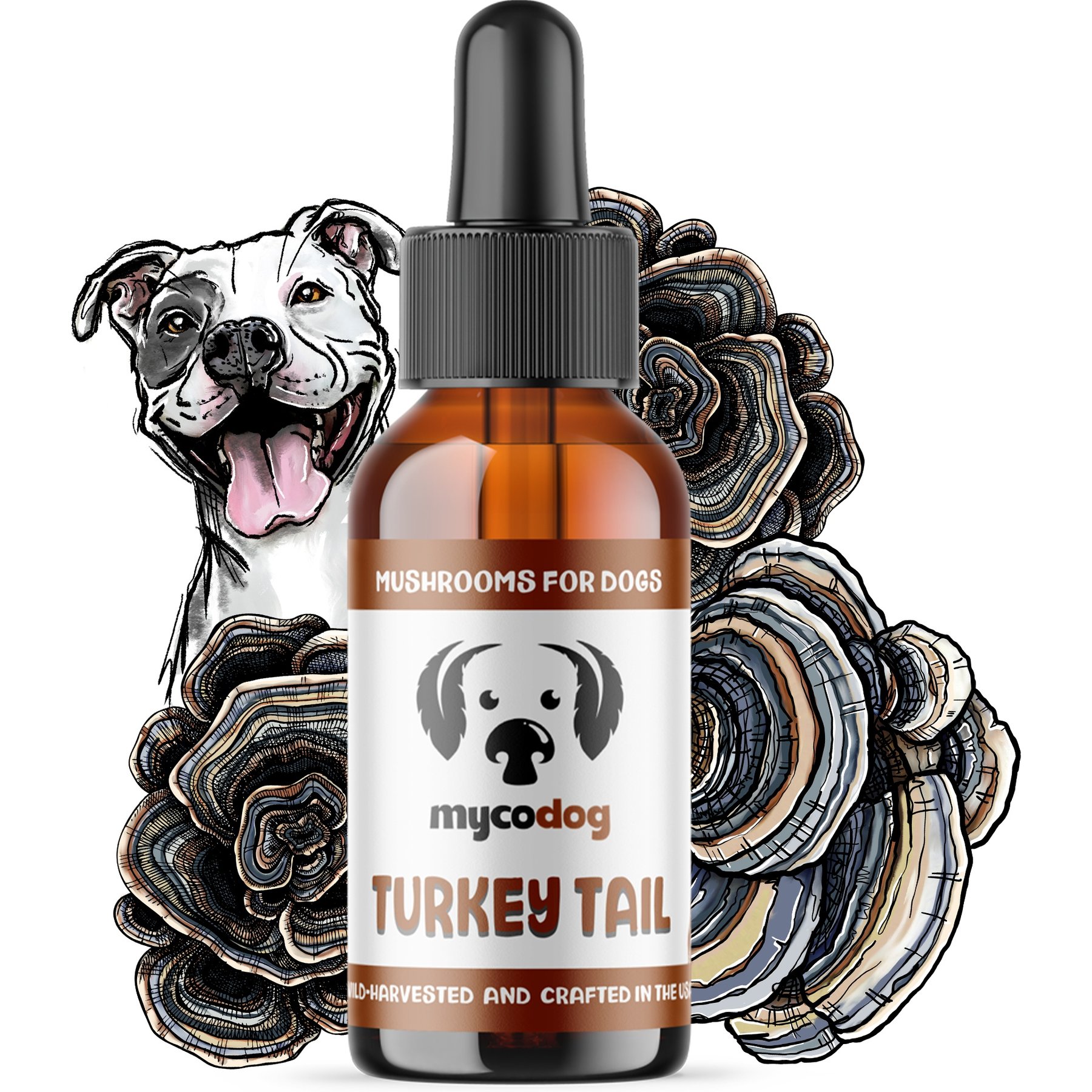 MycoDog Turkey Tail Mushroom Extract Supplement for Dogs, 1-fl oz bottle