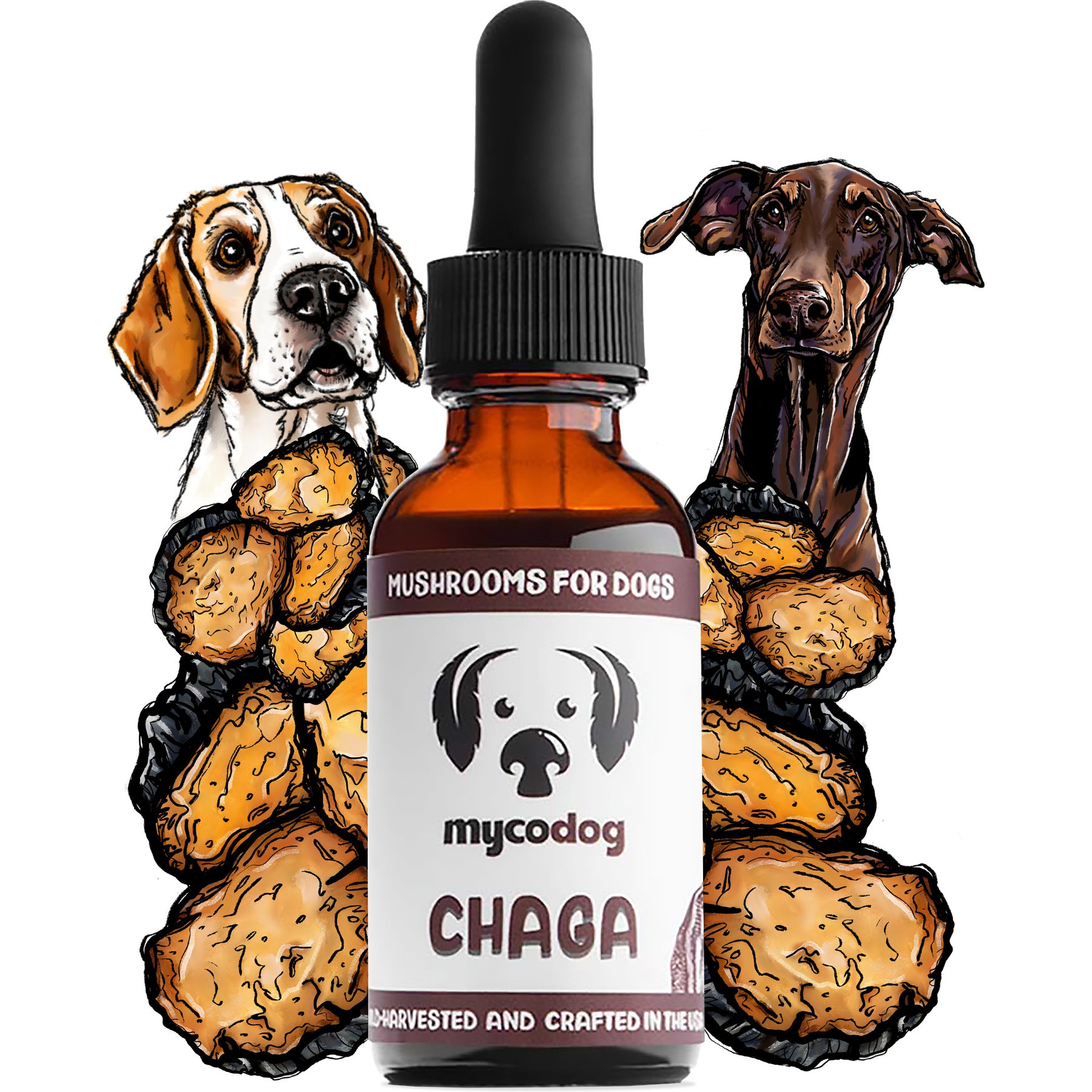 MycoDog Chaga Natural Antioxidant Support Mushroom for Dogs, 1-fl oz bottle