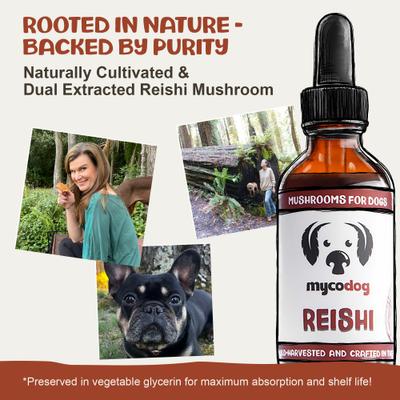 Show full view: MycoDog Reishi Mushroom Extract Longevity + Calming Liquid Supplement for Dogs, 1-fl oz bottle slide 3 of 9