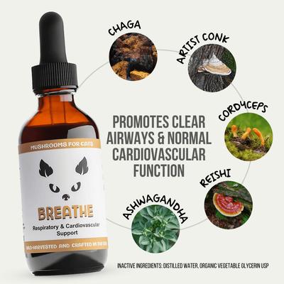 Show full view: MycoCat Breathe Mushroom Extract & Adaptogen Blend Respiratory + Cardiovascular Liquid Supplement for Cats, 2-oz bottle slide 3 of 6