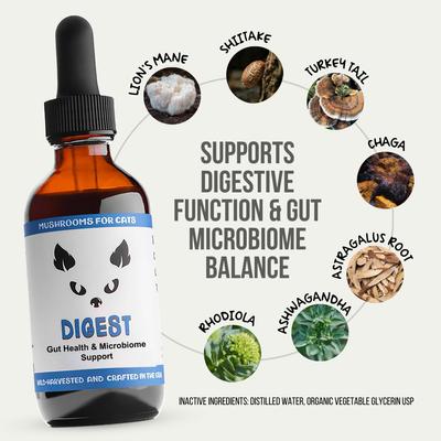 Show full view: MycoCat Digest Mushroom Extract & Adaptogen Blend Gut Health + Digestive Liquid Supplement for Cats, 2-oz bottle slide 3 of 6
