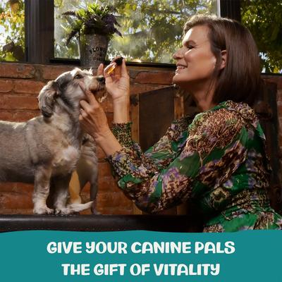 Show full view: MycoDog Breathe Mushroom Extract & Adaptogen Blend Respiratory + Cardiovascular Liquid Supplement for Dogs, 2-oz bottle slide 8 of 10