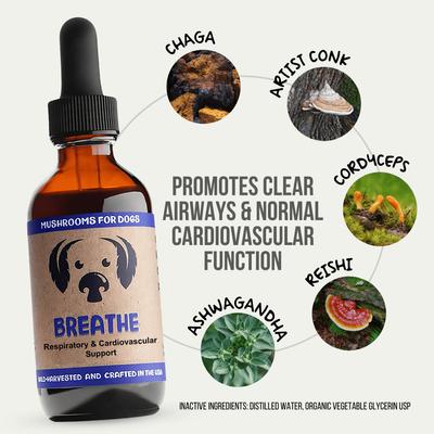 Show full view: MycoDog Breathe Mushroom Extract & Adaptogen Blend Liquid Respiratory + Cardiovascular Supplement for Dogs, 2-fl oz bottle slide 3 of 9
