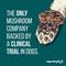 Show in main carousel: MycoDog Vitality Mushroom Extract & Adaptogen Blend Immune Liquid Supplement for Dogs, 2-oz bottle slide 8 of 8