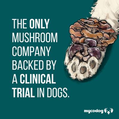 Show full view: MycoDog Vitality Mushroom Extract & Adaptogen Blend Immune Liquid Supplement for Dogs, 2-oz bottle slide 8 of 8