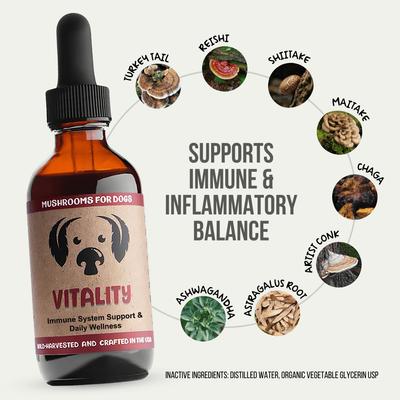 Show full view: MycoDog Vitality Mushroom Extract & Adaptogen Blend Immune Liquid Supplement for Dogs, 2-oz bottle slide 3 of 8