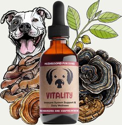MycoDog Vitality Mushroom Extract & Adaptogen Blend Immune Liquid Supplement for Dogs, 2-oz bottle slide 1 of 7