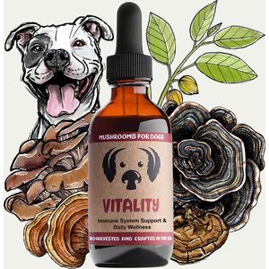 MycoDog Vitality Immune Support Mushroom with Turkey Tail Blend Supplement for Dogs