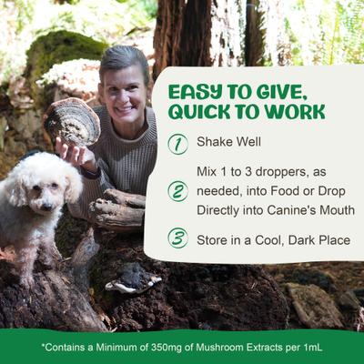 Show full view: MycoDog Digest Mushroom Extract & Adaptogen Blend Gut Health + Digestive Liquid Supplement for Dogs, 2-oz bottle slide 5 of 9