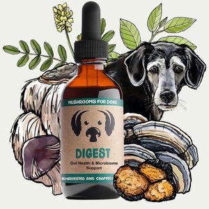 MycoDog Natural Digestive Support & Gut Health Support Supplement for Dogs, 2-fl oz bottle