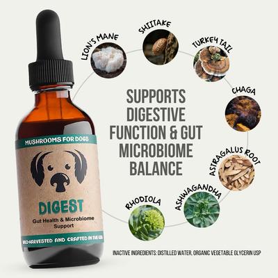 Show full view: MycoDog Digest Mushroom Extract & Adaptogen Blend Gut Health + Digestive Liquid Supplement for Dogs, 2-oz bottle slide 3 of 9