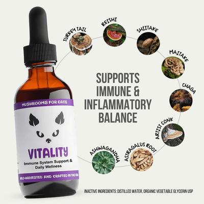 Show full view: MycoCat Vitality Mushroom Extract & Adaptogen Blend Immune Liquid Supplement for Cats, 2-oz bottle slide 3 of 6