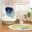 Show in main carousel: Aoruefar Open-Top Smart Self Cleaning Cat Litter Box Bundle slide 5 of 9