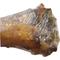 Show in main carousel: Grillerz Smoked Beefy Small Shank Bone Dog Treat slide 6 of 7