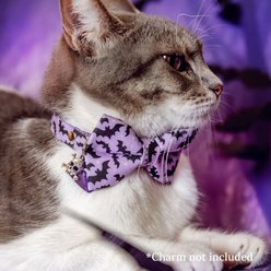 Made By Cleo Batty Babe Cat Collar, 8 to 13-in neck, 1/2-in wide, Purple slide 2 of 4