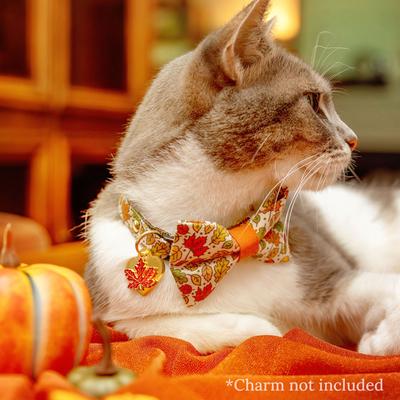 Show full view: Made By Cleo Autumn Aura Cat Collar, 8 to 13-in neck, 1/2-in wide slide 3 of 4