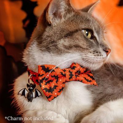 Show full view: Made By Cleo Batty Babe Cat Collar, 8 to 13-in neck, 1/2-in wide, Orange slide 3 of 4