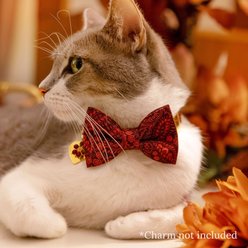 Made By Cleo Tapestry Cat & Small Dog Bow Tie slide 2 of 4