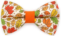 Made By Cleo Autumn Aura Cat & Small Dog Bow Tie
