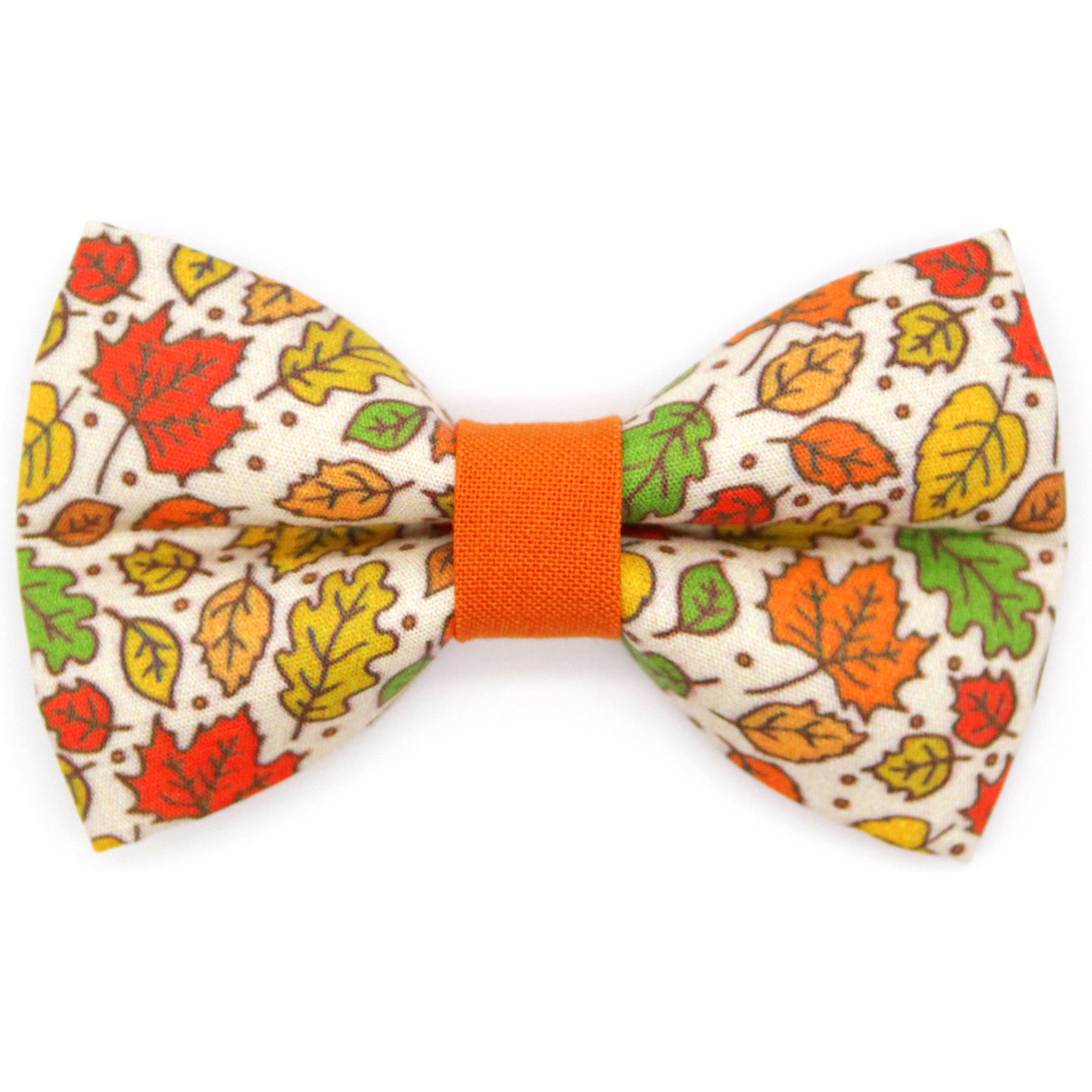 Made By Cleo Autumn Aura Cat & Small Dog Bow Tie