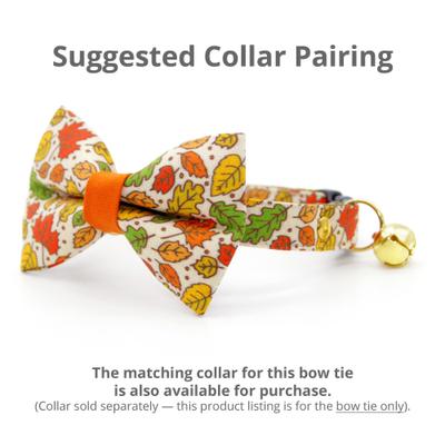 Show full view: Made By Cleo Autumn Aura Cat & Small Dog Bow Tie slide 3 of 3