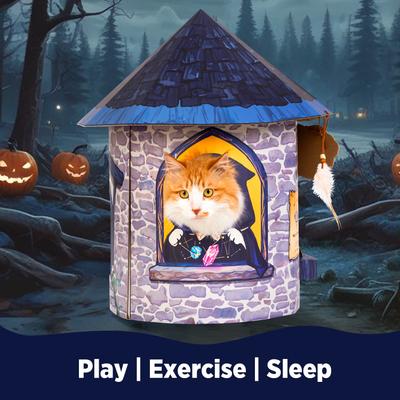 Show full view: Smile Paws Paws Psychic Cat Scratcher House slide 4 of 8