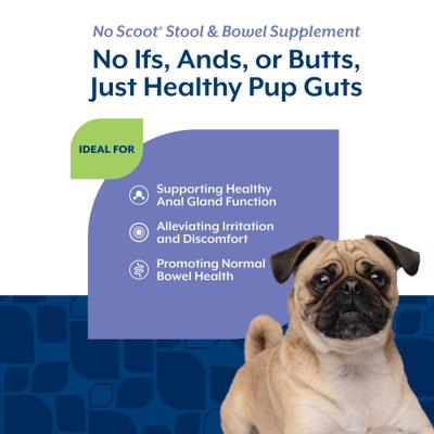 Show full view: NaturVet No Scoot Stool & Bowel Hickory Smoked Bacon Flavored Soft Chew Supplement for Dogs, 60 count slide 5 of 11