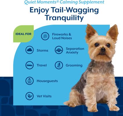 Show full view: NaturVet Quiet Moments Calming Peanut Butter Flavored Tablet Supplement for Dogs, 30 count slide 4 of 8