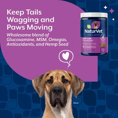 Show full view: NaturVet Joint Care with Hemp Hip & Joint Bacon & Chicken Flavored Soft Chew Supplement for Dogs, 120 count slide 3 of 9