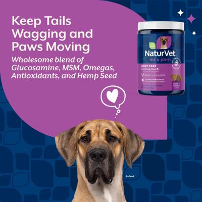 Show full view: NaturVet Hemp Quiet Moments Plus Hemp Seed Dog Soft Chews, 180 count + NaturVet Hemp Joint Health Plus Hemp Seed Soft Chews Dog Supplement, 120 count slide 3 of 9