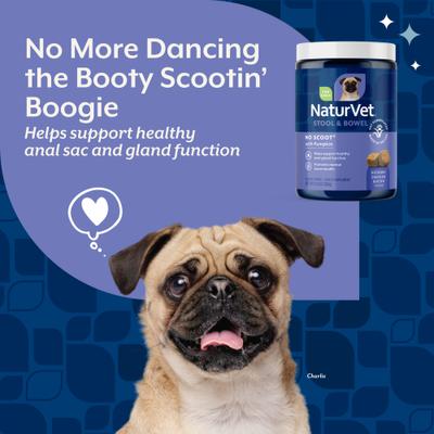 Show full view: NaturVet No Scoot Stool & Bowel Hickory Smoked Bacon Flavored Soft Chew Supplement for Dogs, 120 count slide 4 of 11
